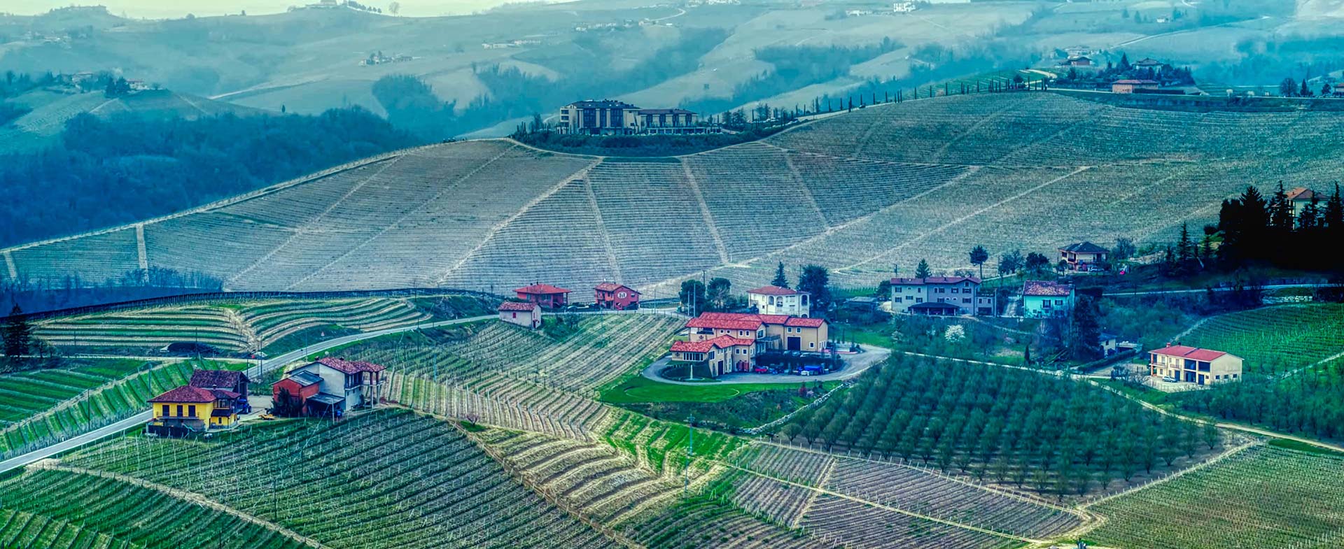 colline Barolo Cuneo